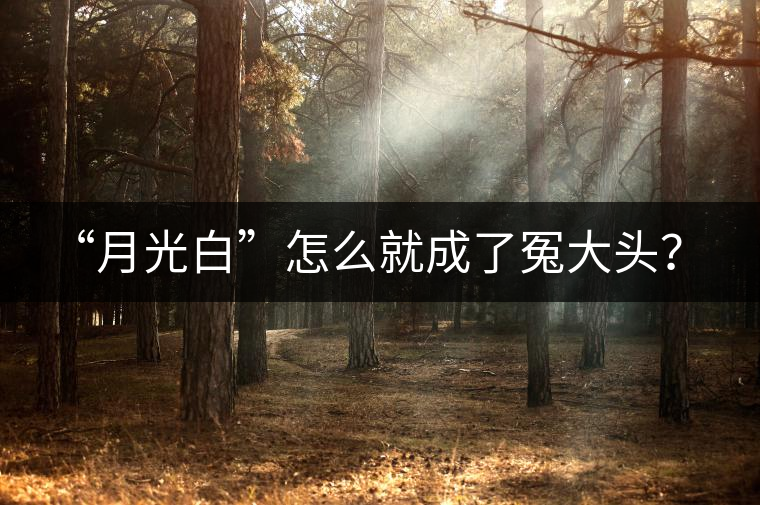 “月光白”怎么就成了冤大頭？