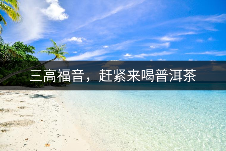 三高福音，趕緊來(lái)喝普洱茶