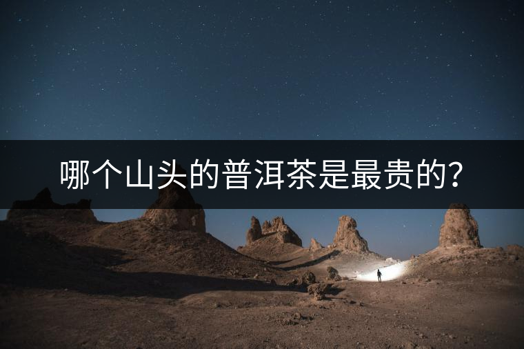 哪個山頭的普洱茶是最貴的？