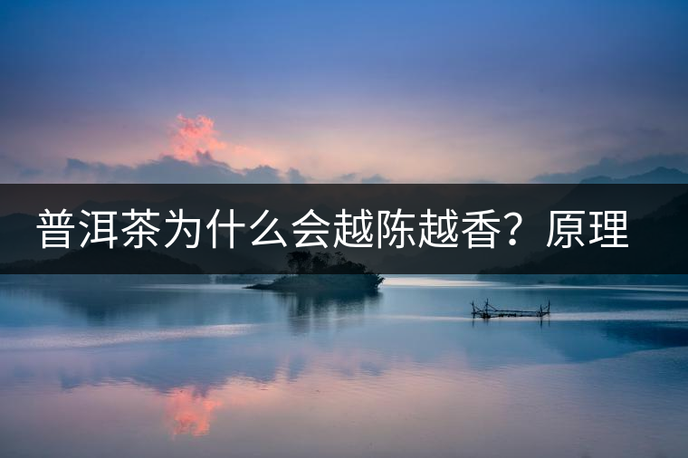 普洱茶為什么會(huì)越陳越香？原理是什么？