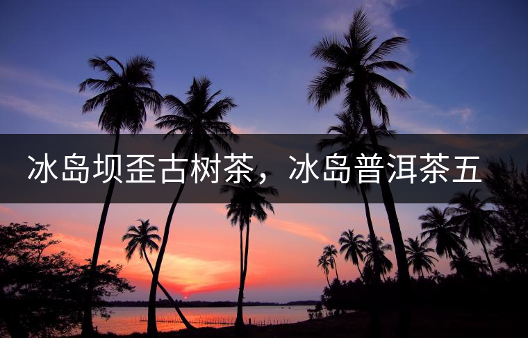 冰島壩歪古樹(shù)茶，冰島普洱茶五寨之一