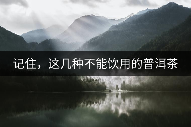 記住，這幾種不能飲用的普洱茶