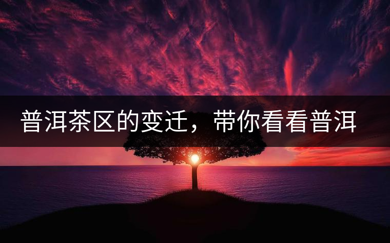 普洱茶區(qū)的變遷，帶你看看普洱茶地域分布