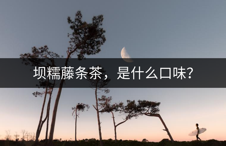 壩糯藤條茶，是什么口味？