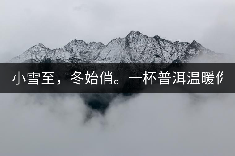 小雪至，冬始俏。一杯普洱溫暖你的冬天！