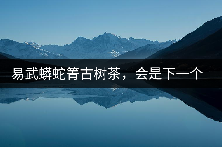 易武蟒蛇箐古樹茶，會是下一個銅箐河嗎？