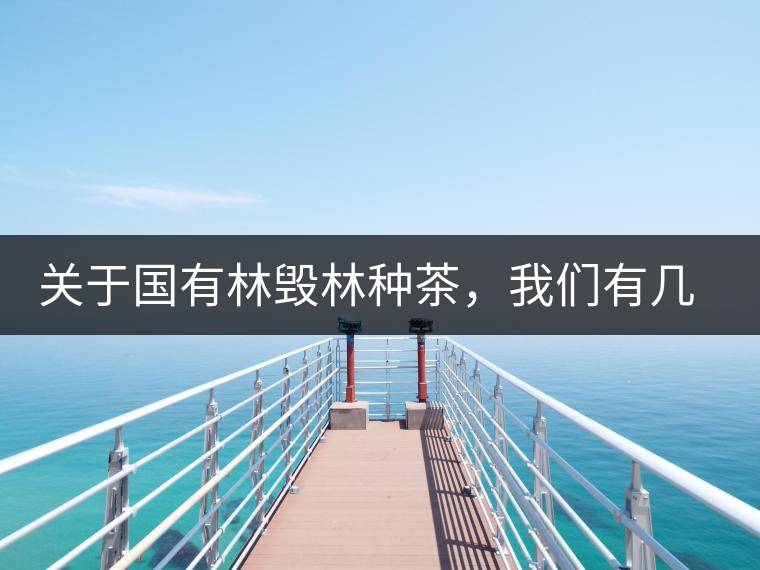 關(guān)于國有林毀林種茶，我們有幾點不得不說