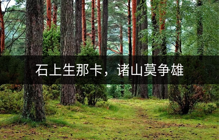 石上生那卡，諸山莫爭雄