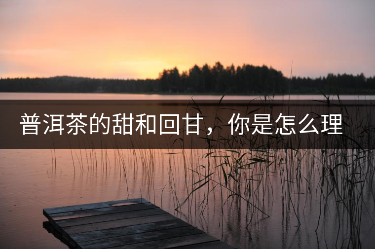 普洱茶的甜和回甘，你是怎么理解的？