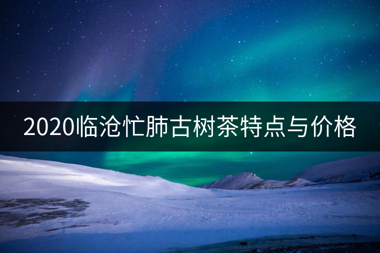 2020臨滄忙肺古樹茶特點與價格