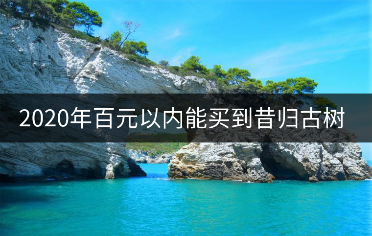 2020年百元以內(nèi)能買到昔歸古樹(shù)嗎？