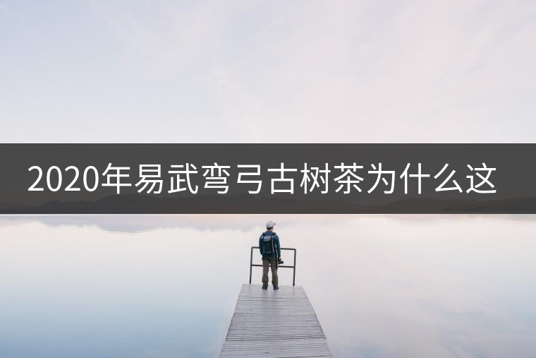 2020年易武彎弓古樹茶為什么這么貴？