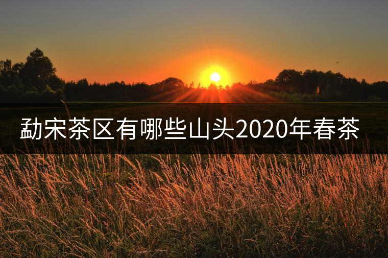 勐宋茶區(qū)有哪些山頭2020年春茶價(jià)格？