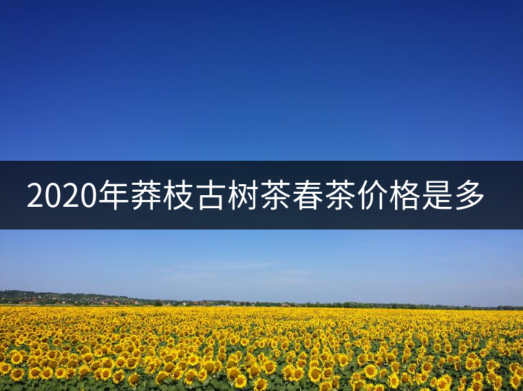 2020年莽枝古樹茶春茶價(jià)格是多少錢？