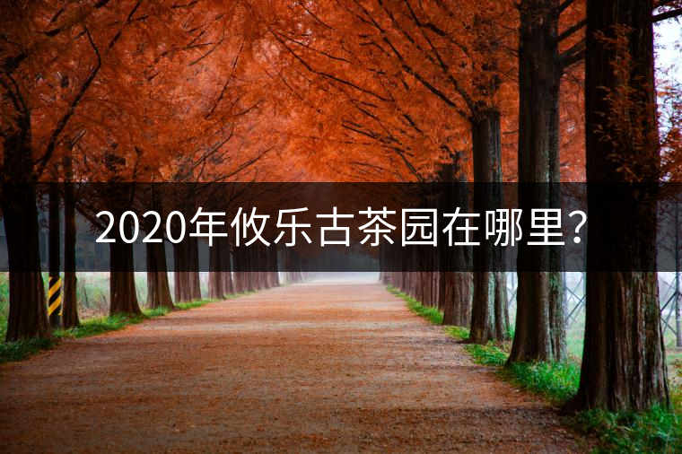 2020年攸樂古茶園在哪里？