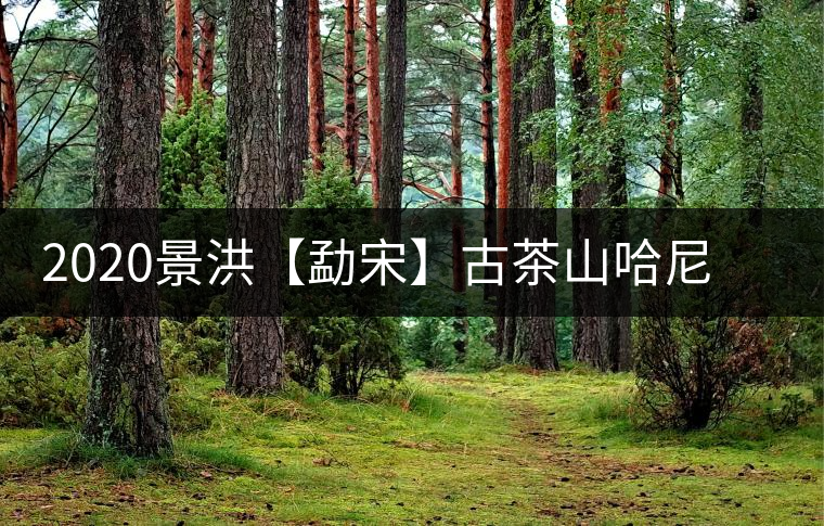 2020景洪【勐宋】古茶山哈尼年“嘎湯帕”圓滿結(jié)束，我們明年見