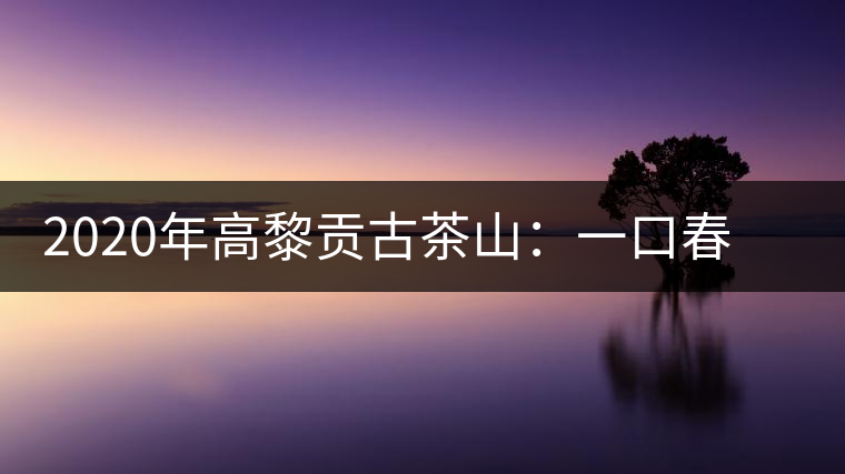 2020年高黎貢古茶山：一口春茶香，一口騰沖味