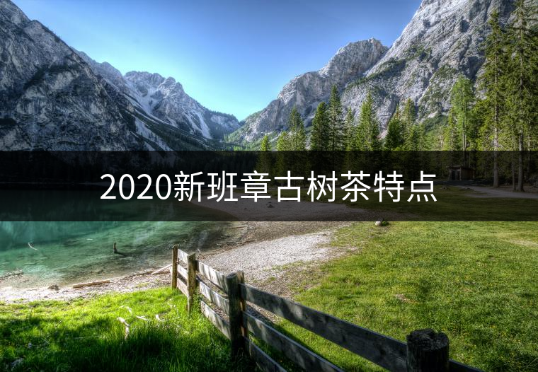 2020新班章古樹(shù)茶特點(diǎn) 2020新班章古樹(shù)茶特點(diǎn)
