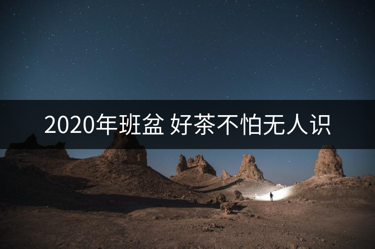 2020年班盆 好茶不怕無人識
