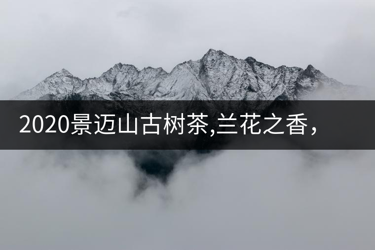 2020景邁山古樹(shù)茶,蘭花之香，自然之味