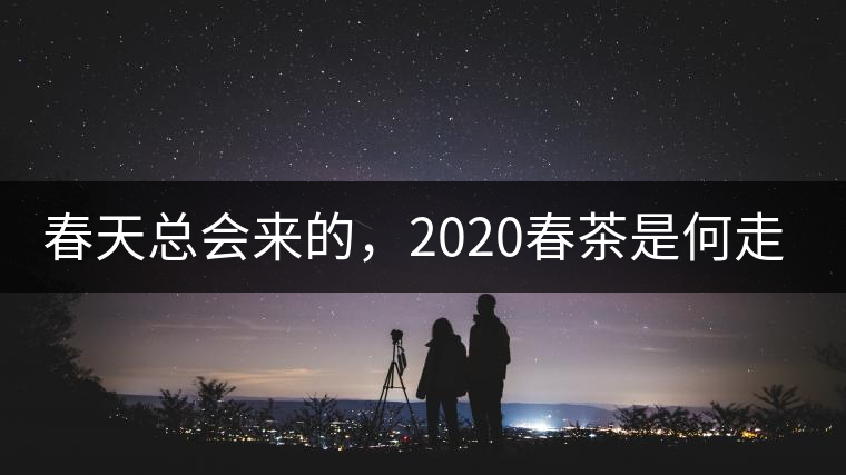 春天總會(huì)來的，2020春茶是何走勢(shì)？