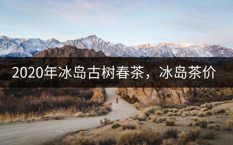 2020年冰島古樹春茶，冰島茶價(jià)格貴在哪里？