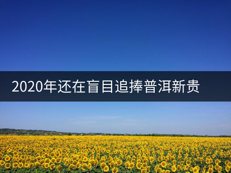 2020年還在盲目追捧普洱新貴“貓耳朵”？我們深入產(chǎn)區(qū)為你揭示最真實(shí)的“貓耳朵”！