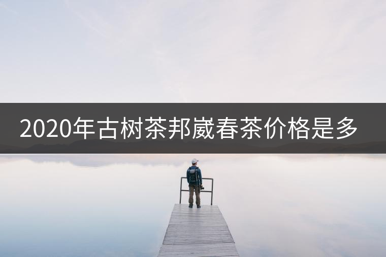 2020年古樹茶邦崴春茶價(jià)格是多少？