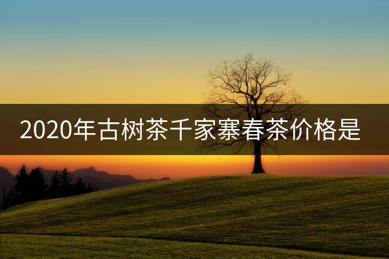 2020年古樹茶千家寨春茶價(jià)格是多少？