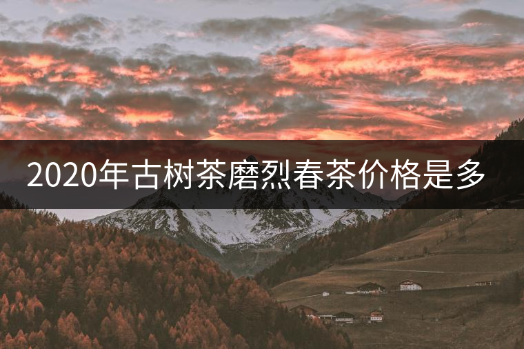 2020年古樹茶磨烈春茶價(jià)格是多少？