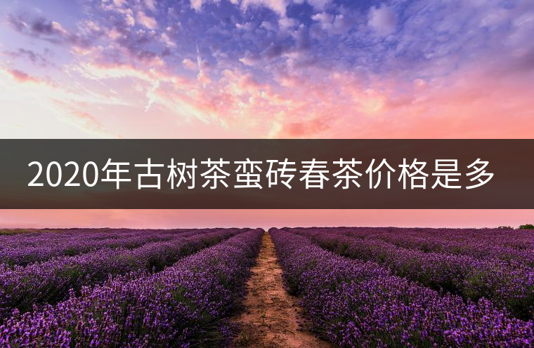 2020年古樹茶蠻磚春茶價格是多少？