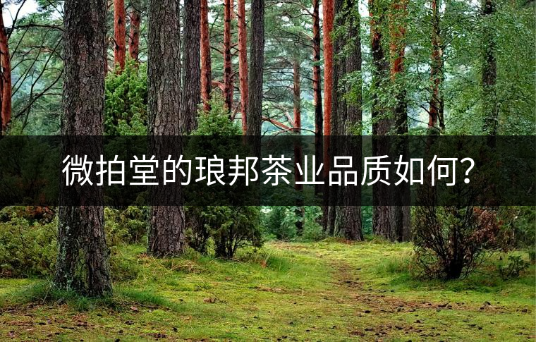 微拍堂的瑯邦茶業(yè)品質(zhì)如何？