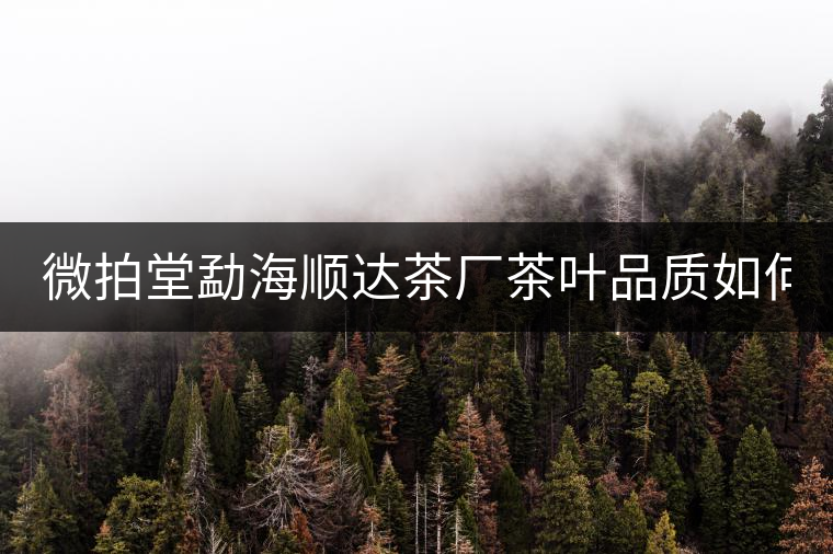 微拍堂勐海順達(dá)茶廠茶葉品質(zhì)如何？