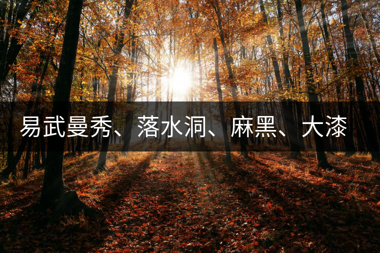 易武曼秀、落水洞、麻黑、大漆樹等你更喜歡哪個茶？