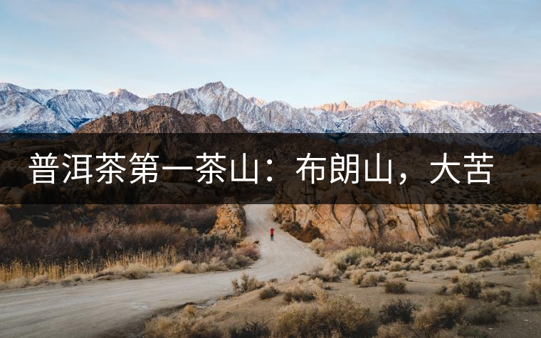 普洱茶第一茶山：布朗山，大苦大甘是它的魂