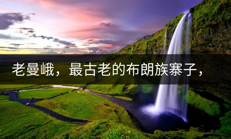 老曼峨，最古老的布朗族寨子，最極端的普洱茶