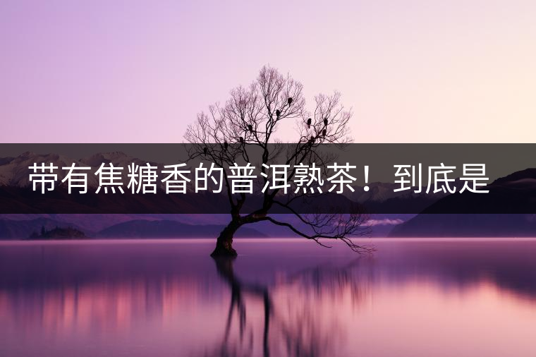 帶有焦糖香的普洱熟茶！到底是好是壞？