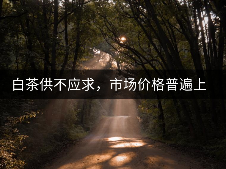 白茶供不應(yīng)求，市場價格普遍上漲？
