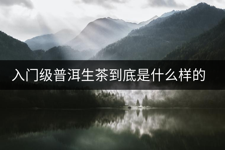 入門級(jí)普洱生茶到底是什么樣的口感？