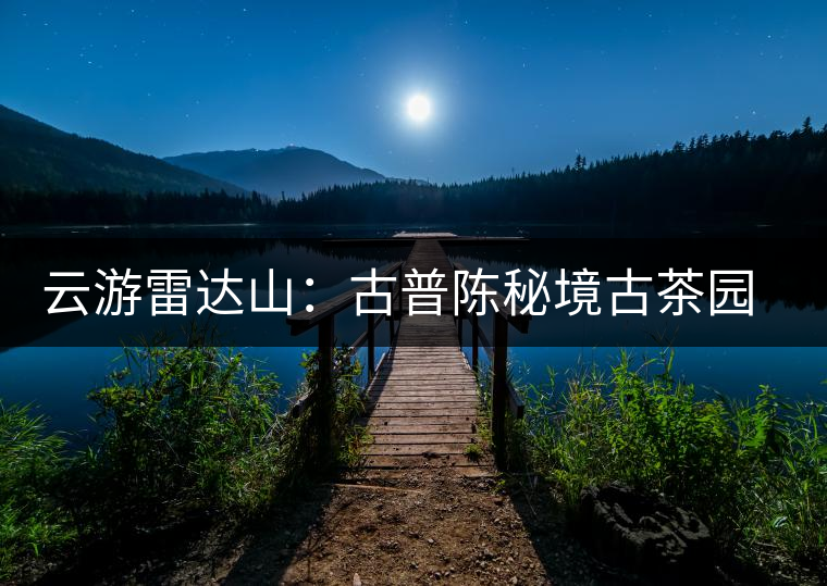 云游雷達(dá)山：古普陳秘境古茶園，品第一杯春鮮