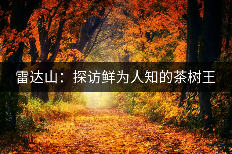 雷達山：探訪鮮為人知的茶樹王