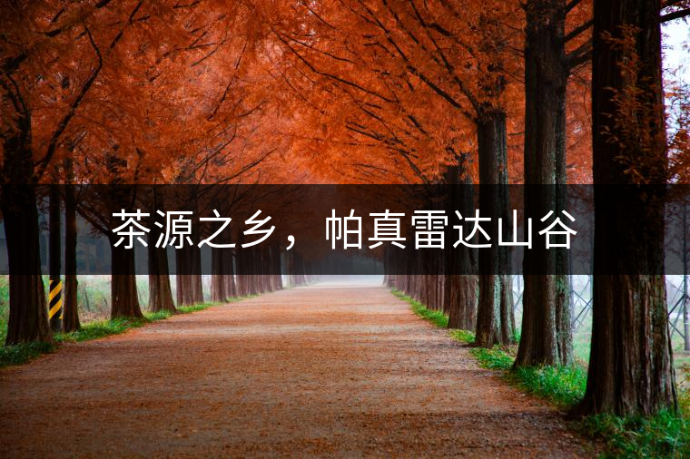 茶源之鄉(xiāng)，帕真雷達山谷