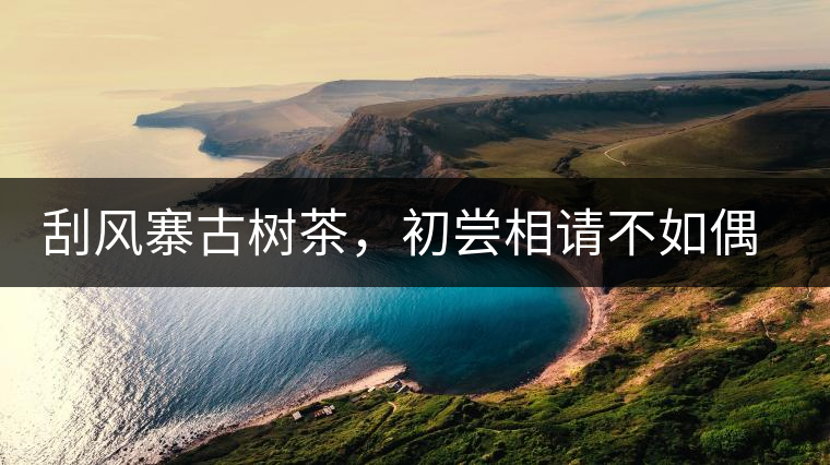 刮風(fēng)寨古樹(shù)茶，初嘗相請(qǐng)不如偶遇