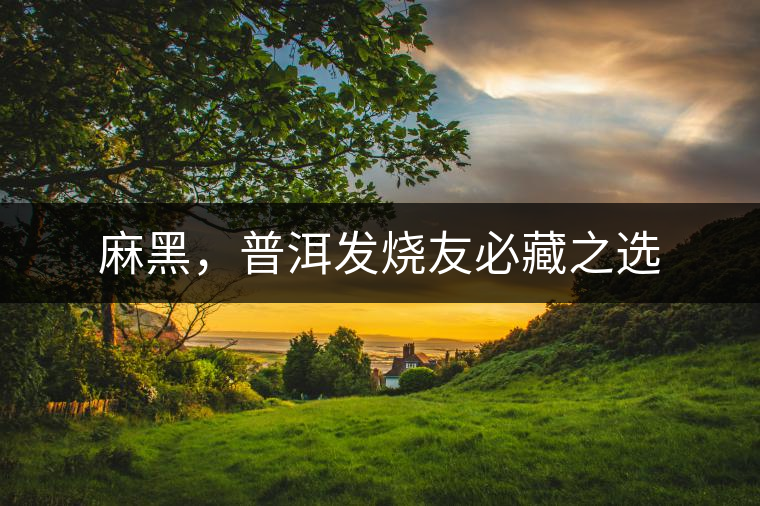 麻黑，普洱發(fā)燒友必藏之選