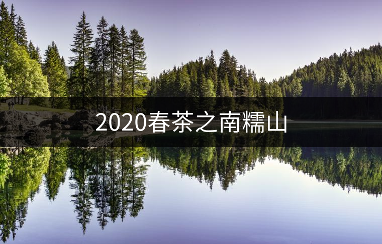 2020春茶之南糯山 2020春茶之南糯山