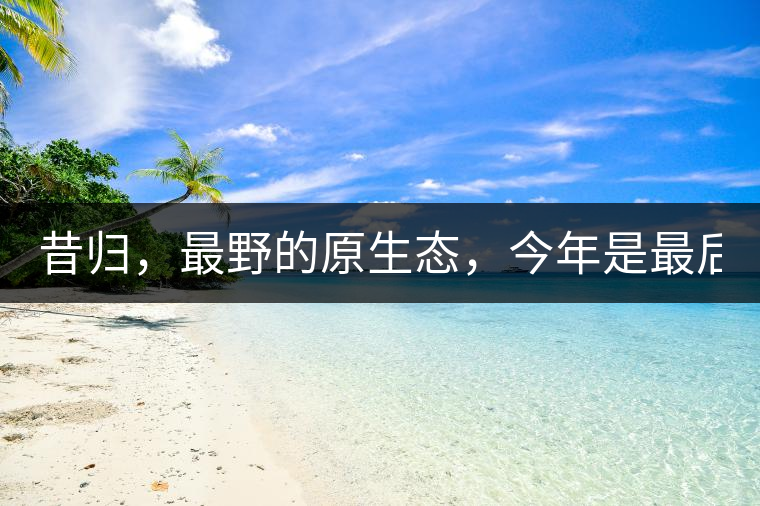 昔歸，最野的原生態(tài)，今年是最后一年了！