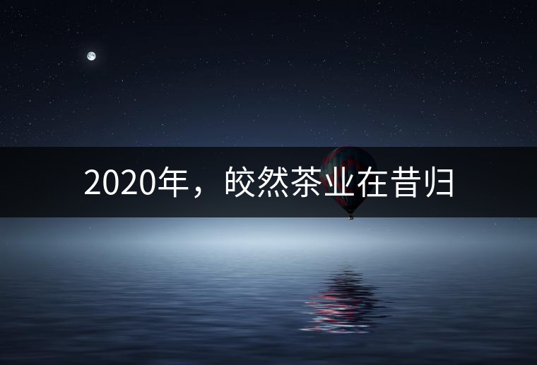 2020年，皎然茶業(yè)在昔歸
