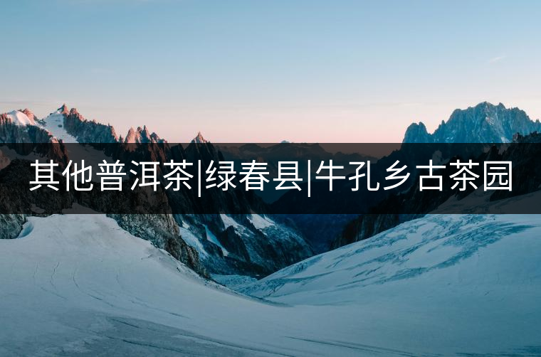 其他普洱茶|綠春縣|?？奏l(xiāng)古茶園
