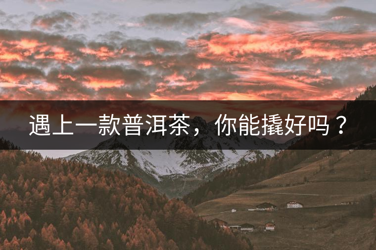 遇上一款普洱茶，你能撬好嗎 ？