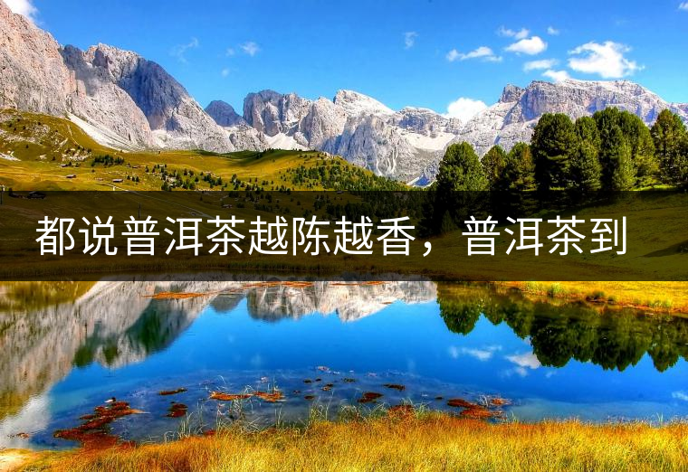 都說普洱茶越陳越香，普洱茶到底應該存多久？